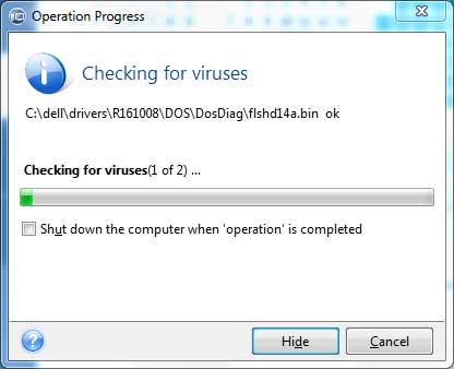 Checking for Viruses befre Execution