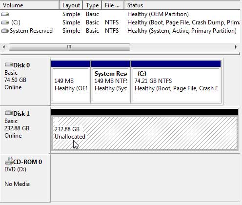 The Windows Drive Manager Shows the 250 Gigabyte Drive Installed